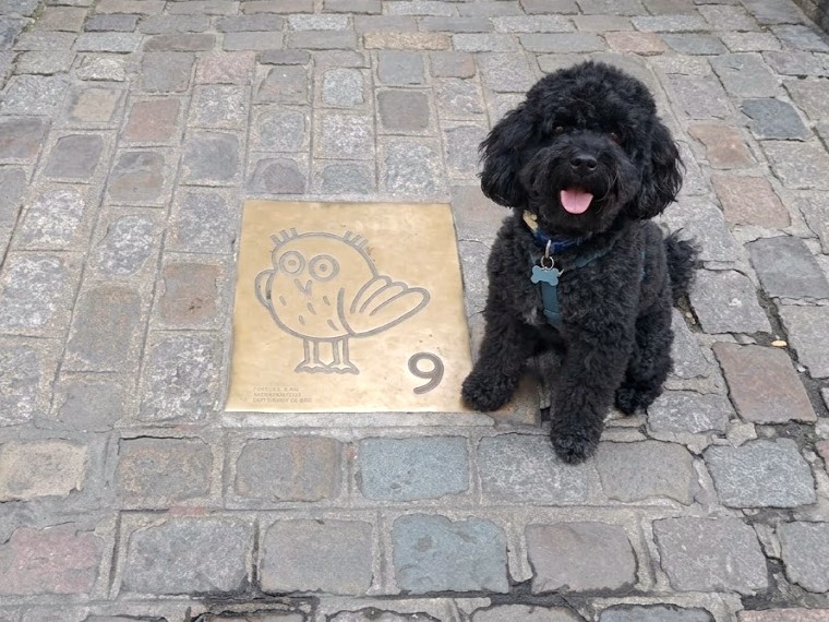 Scopri di più sull'articolo Cartoline dal Mondo: Digione — Guida Pet-Friendly tra Leggende e Specialità Locali