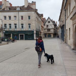 passeggio nel centro storico pedonale di Digione