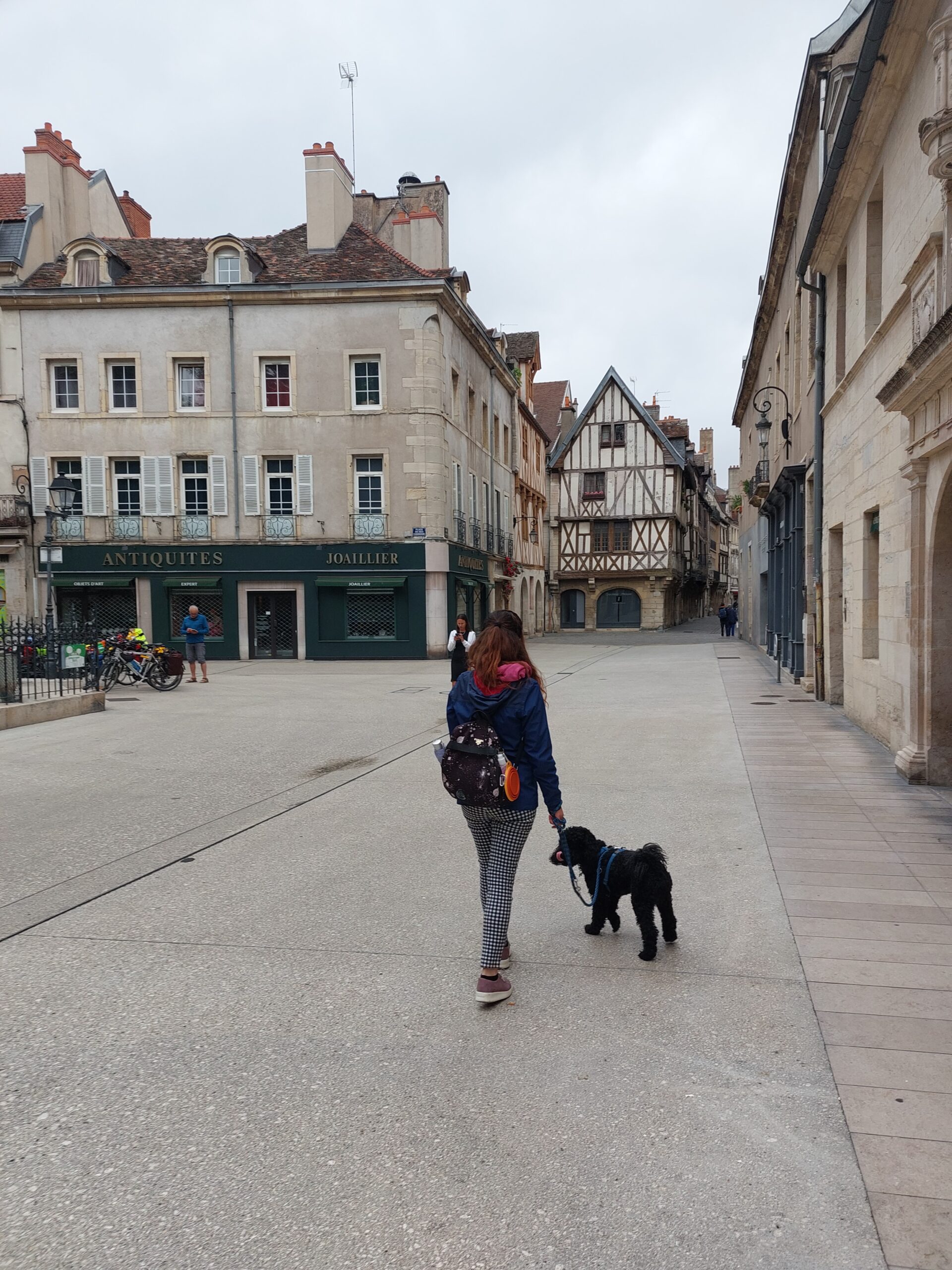 passeggio nel centro storico pedonale di Digione